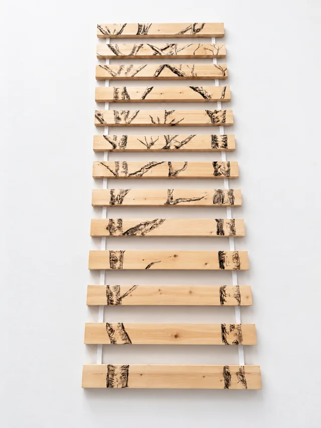 Thirteen horizontal wooden slats carrying a forest drawing in charcoal and pyrography against a white wall