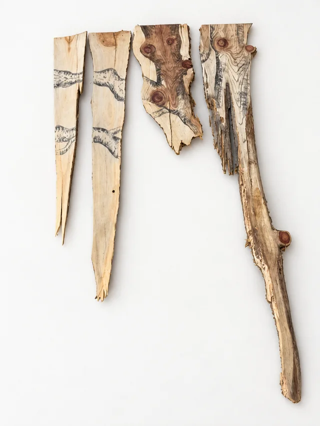 Irregular pointed wood fragments with tree marks and natural knots